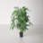 48'' Faux Mango Tree in Pot Liner