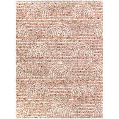 Alec Rainbow Shag Area Rug
