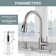 ColorLife Pull Out Kitchen Faucet