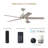 Purab 52'' Ceiling Fan with LED Lights-602551317