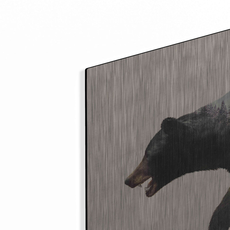 «The North American Black Bear» par Davies Babies, H 24 po x l 36 po