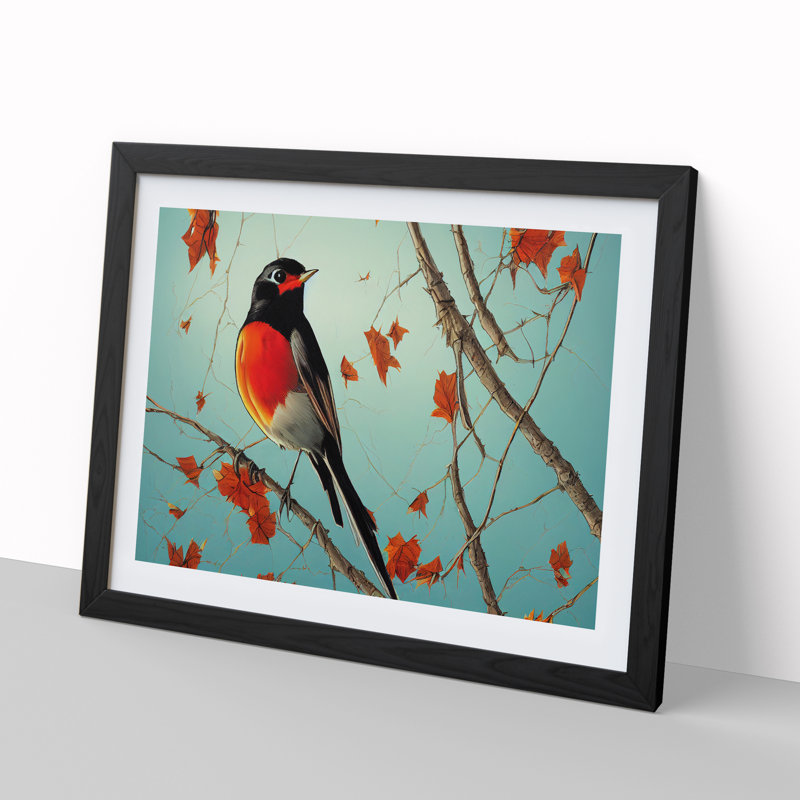 Eye Opening Robin Bird - Single Picture Frame Print, Black Framed, 46cm H x 64cm W x 2cm D