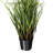 Artificial Grass and Eucalyptus in Pot -976843451