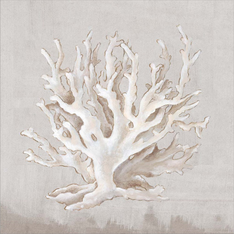 «Neutral Shells IV» par Eva Watts, art mural sur toile, H 24 po x l 24 po x P 1,5 po