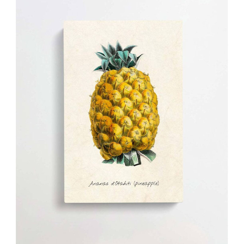 Illustration of a Pineapple - Wrapped Canvas, 50cm H x 35cm W x 3cm D