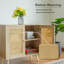 Allory Wicker/Rattan Rectangle Accent Cabinet