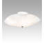 3 - Light Flush Mount