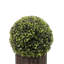 Fausse plante en pot 20 po