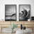 Black Framed