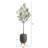 Olive Artificial Tree in Gray Planter with Stand-1232639409