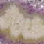 Amethyst Stalactite Slice From Uruguay (181.1 Grams)