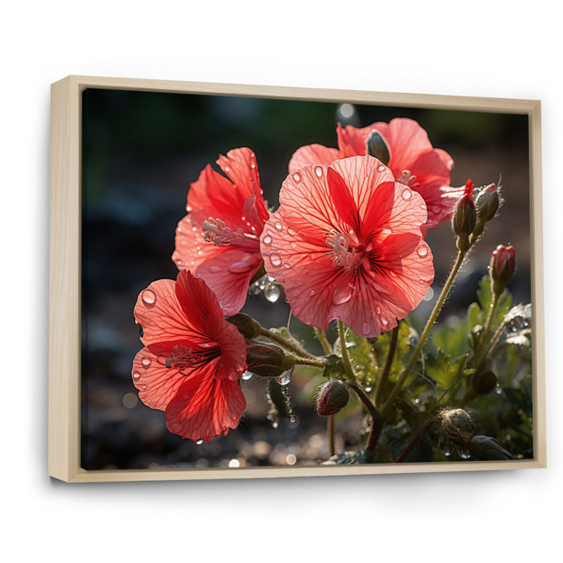 Corail géraniums - impression, Cadre naturel flottant, H 16 po x l 32 po x P 1 po