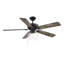 Ventilateur de plafond standard à 5 pales de 52 po avec chaîne de traction et ensemble d'éclairage Donovan Inola-291535169