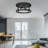 2-Light Metal Flush Mount Ceiling Light