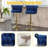 Premium Adjustable Bar Stool