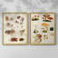 Champignon III - Reproduction encadrée de qualité supérieure - prêt à être accroché - aucun clou requis - aucun clou requis-1364198763-1364198754