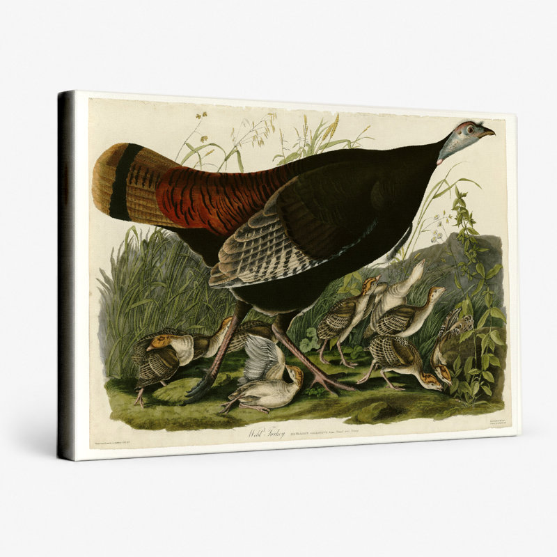 Wild Wild (1827) - Art mural sur toile paysage, 20" W x 16" H