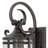 Casa Traditional 1-Light Outdoor Wall Lantern