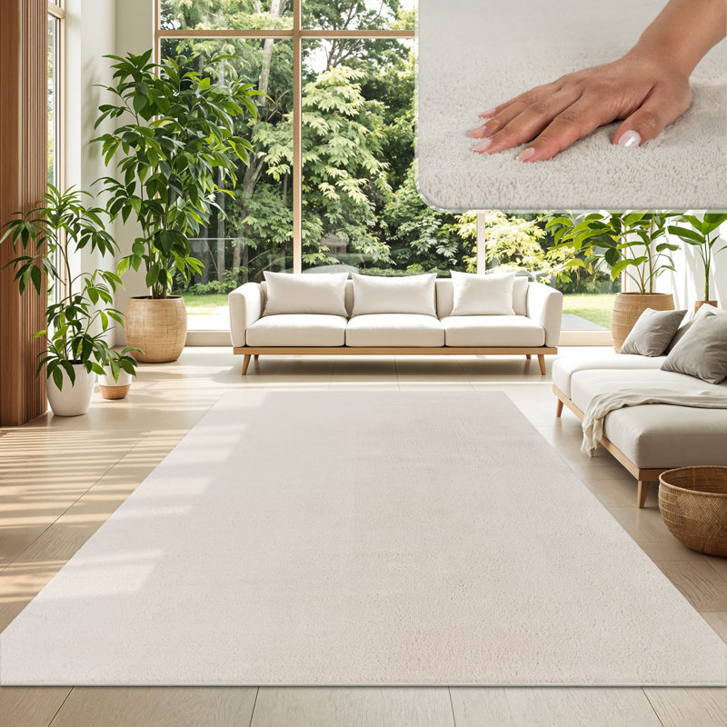 Soft Area Rug Cozy Low-Pile Rug Anti-Slip Solid Color Washable, Rectangle 2'8" x 4'11", Cream