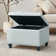 Dhiren 23.6' W Rectangle Upholstered Storage Ottoman