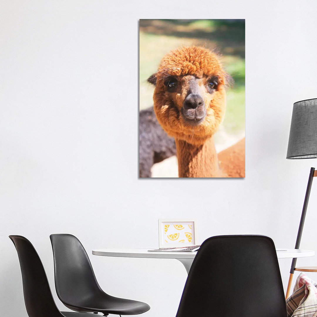 Puffy Brown Alpaca von Susan Vizvary - Gallery-Wrapped Canvas Giclée on Canvas