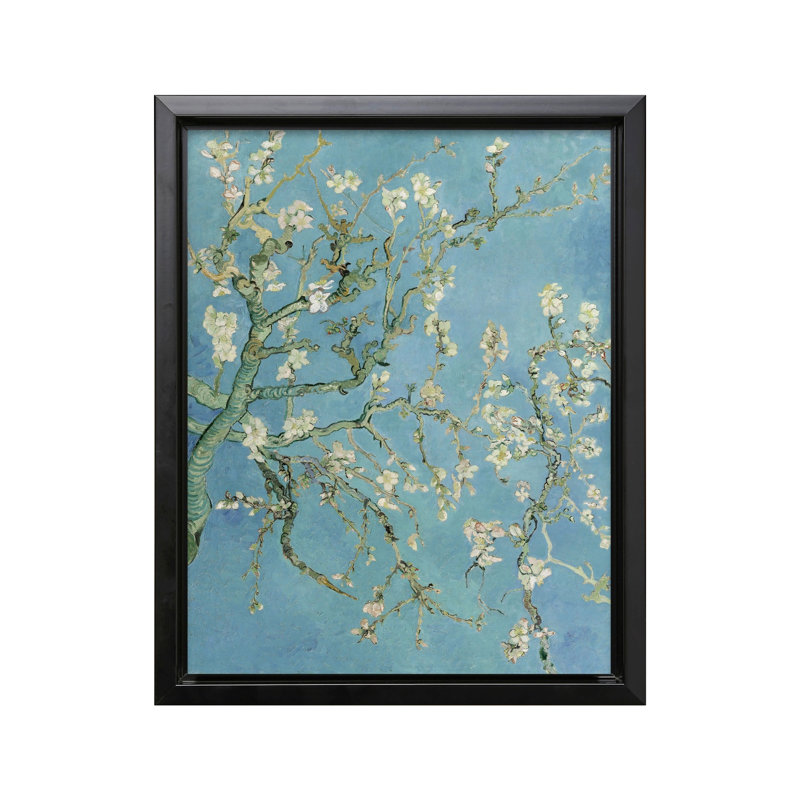 Van Gogh - Affiche de fleurs d'amandier, Cadre noir, Canevas, H 12 po x l 16 po