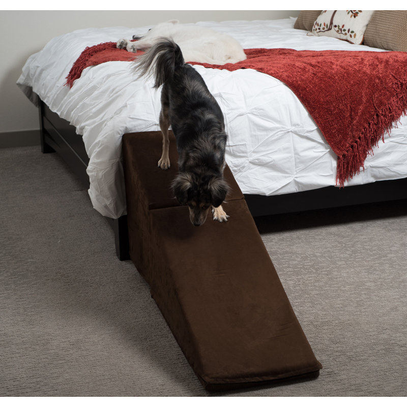Très large rampe pour animaux 21 po, Chocolat