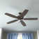  60'' 5 - Blade Standard Ceiling Fan with Pull Chain