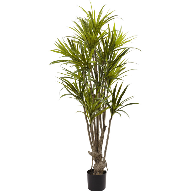 Arbre de dracaena artificiel en pot 60 po