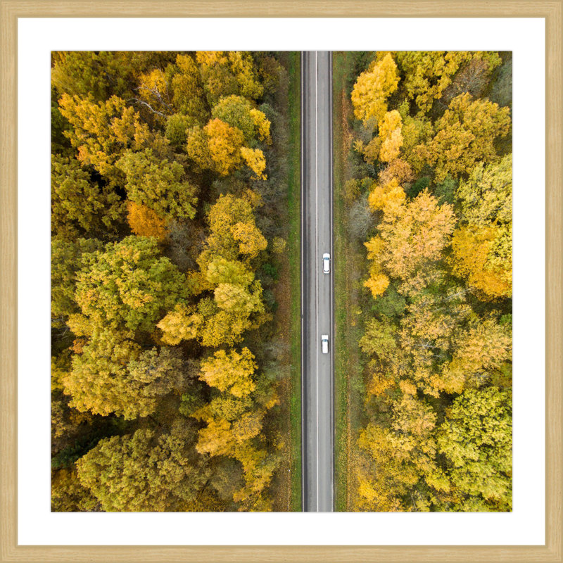 « nature road » par karolis janulis, reproduction de photo encadrée, H 18 po x l 18 po x P 1,5 po