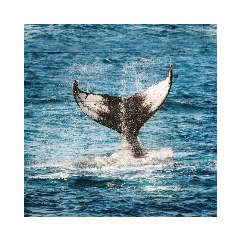 Tails Of The Whale by Sheldon Lewis - Wrapped Canvas Gallery-Wrapped Canvas Giclée, 30.48 cm H x 30.48 cm W