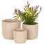 Tommen Ceramic Pot Planter-1292233122