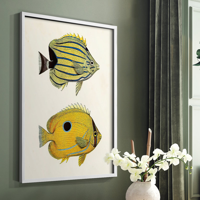 «Yellow & Gray Fish III», reproduction encadrée - bois massif, Blanc, H 10 po x l 8 po