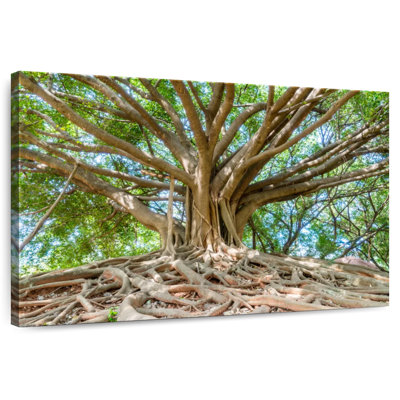 Harnek Banyan Tree Park