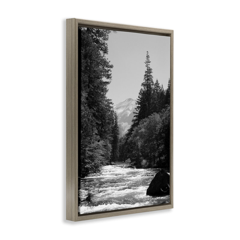 Cadre flottant Merced River Flow, design par Kim Curationa, Montalcino orme flottant encadré, H 25 po x l 17 po