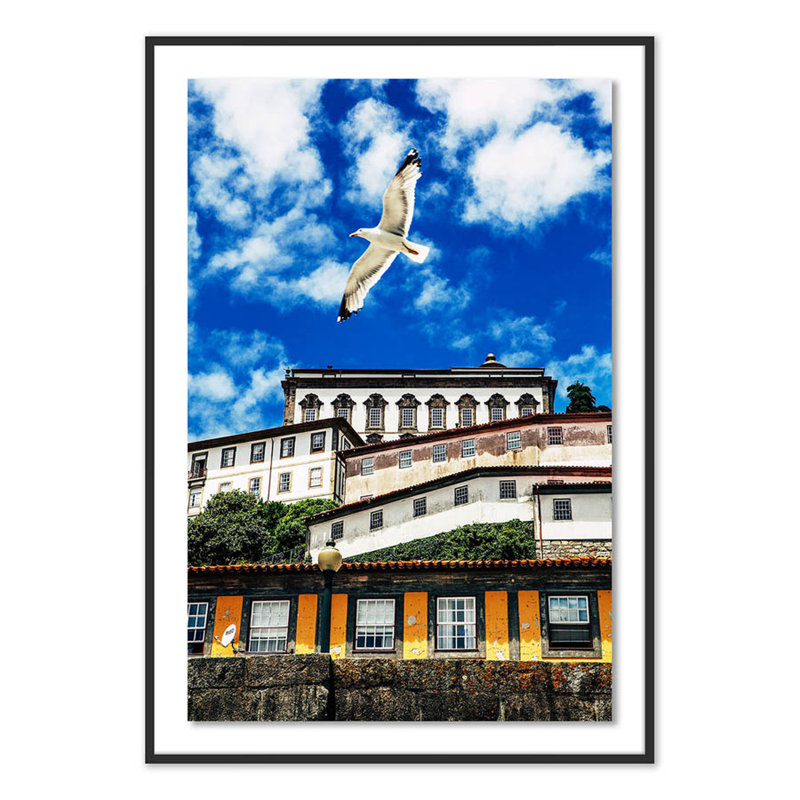 Seagull Color Print by Erica Singleton, Black, 60" H x 42" W x 2.5" D