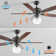 52'' Ceiling Fan with Light Kit