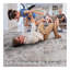 Collection Cream / Medallion Area Rug-238874091