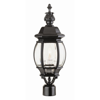 Robertson Lantern Head