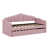 Rose est en rupture de stock