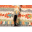 Tapis tissé à plat kilim Végétal 6 x 10