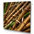 Wrapped Canvas
