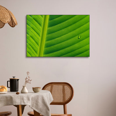 Steelpix Metal Canvas - Banana Close Up Of Leaf With Water Droplets, Rwanda by Cyril Ruoso - Wall Art Print