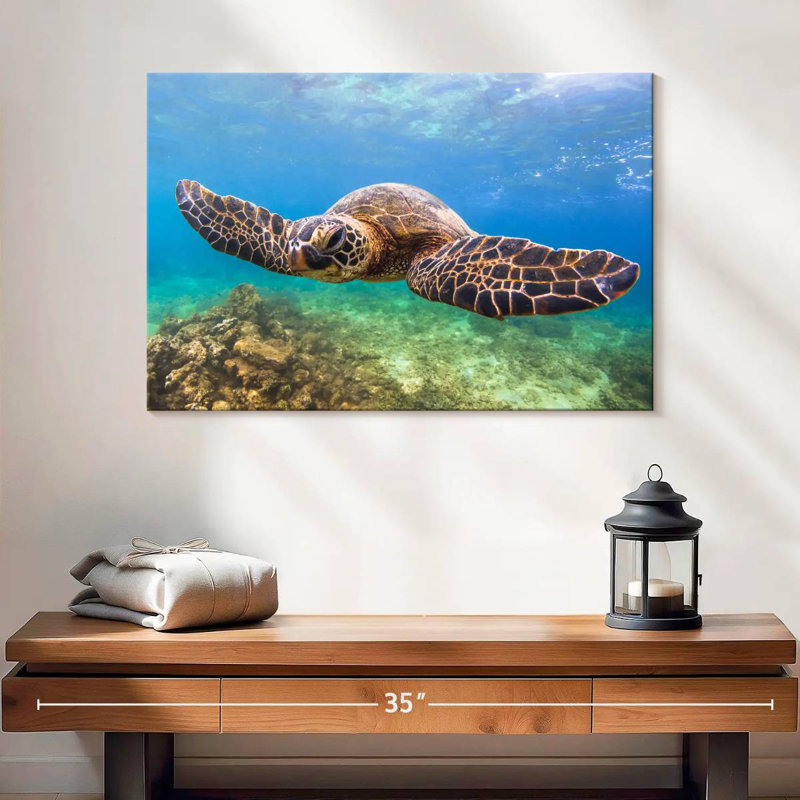 Crowle Flapping Turtle, 16" H x 24" W