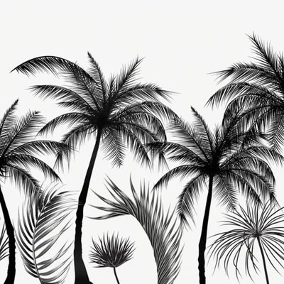 Papier peint palmier tropical gris, noir et blanc