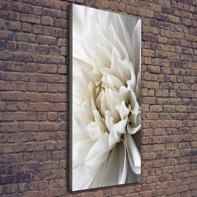 White Dahlia - Wrapped Canvas Print