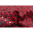 Teimani Brown, Red Rug 3'6" x 6'8"