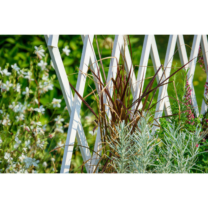 Elevated Planter with Trellis, White