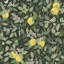 Boråstapeter Citronträd Wallpaper-1685784429
