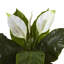 Agencement de fleurs en liliess de paix spathiphyllum artificielle